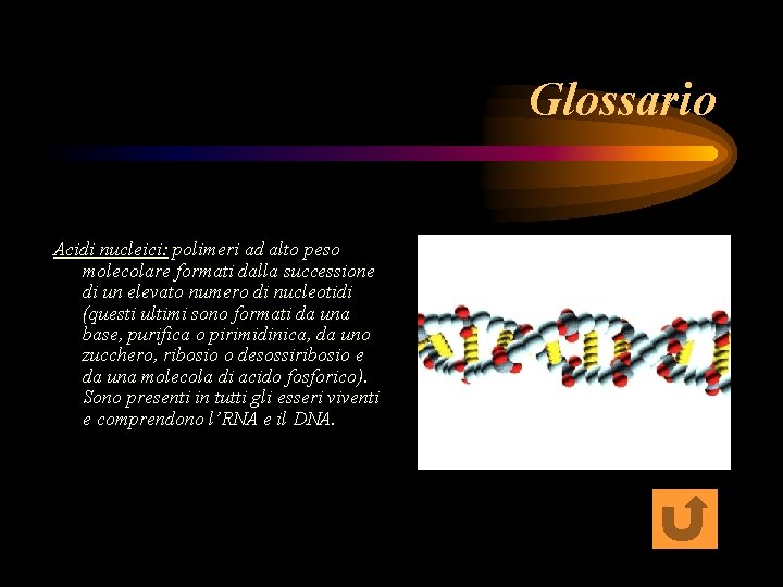 Glossario Acidi nucleici: polimeri ad alto peso molecolare formati dalla successione di un elevato