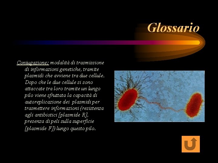 Glossario Coniugazione: modalità di trasmissione di informazioni genetiche, tramite plasmidi che avviene tra due