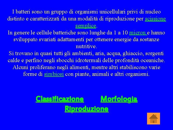 I batteri sono un gruppo di organismi unicellulari privi di nucleo distinto e caratterizzati