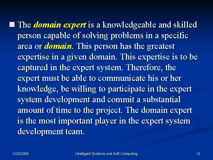 n The domain expert is a knowledgeable and skilled person capable of solving problems