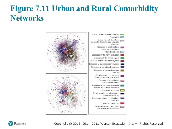 Figure 7. 11 Urban and Rural Comorbidity Networks Copyright © 2018, 2014, 2011 Pearson
