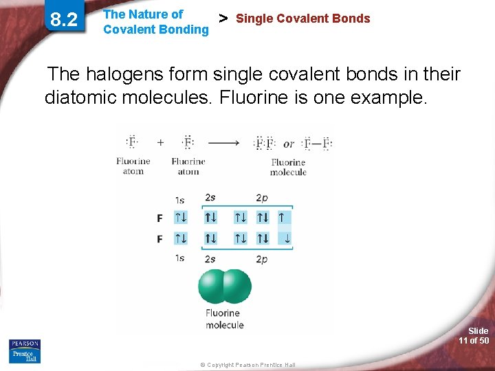 8. 2 The Nature of Covalent Bonding > Single Covalent Bonds The halogens form