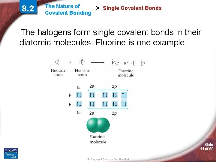 8. 2 The Nature of Covalent Bonding > Single Covalent Bonds The halogens form 8. 2 The Nature of Covalent Bonding > Single Covalent Bonds The halogens form