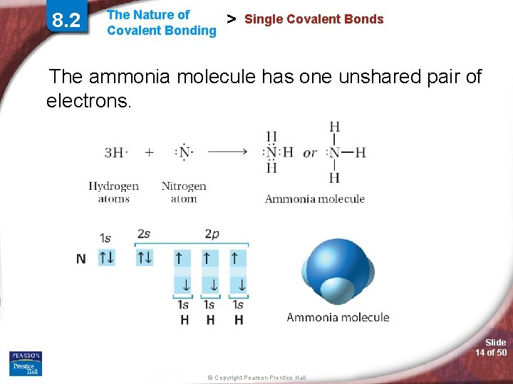 8. 2 The Nature of Covalent Bonding > Single Covalent Bonds The ammonia molecule 8. 2 The Nature of Covalent Bonding > Single Covalent Bonds The ammonia molecule