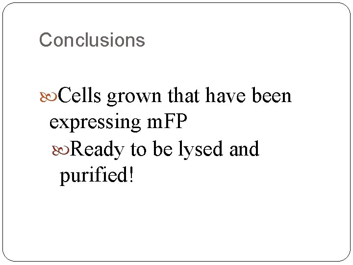 Conclusions Cells grown that have been expressing m. FP Ready to be lysed and