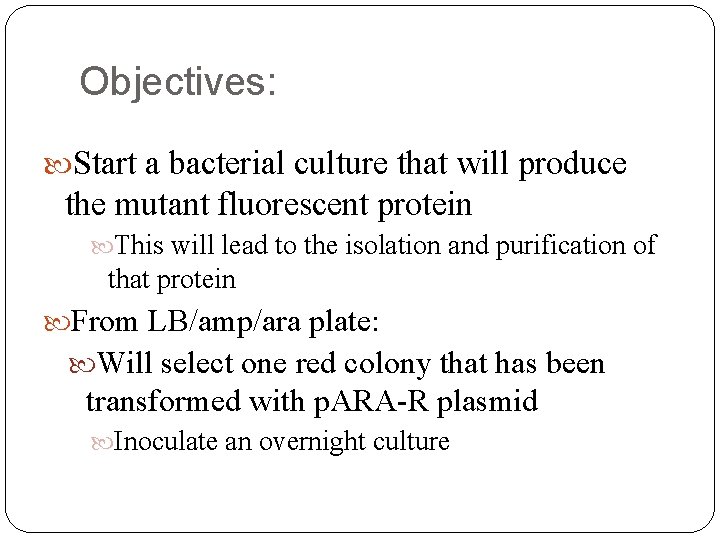 Objectives: Start a bacterial culture that will produce the mutant fluorescent protein This will