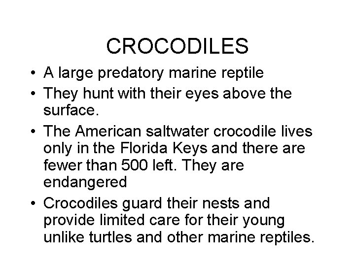 CROCODILES • A large predatory marine reptile • They hunt with their eyes above