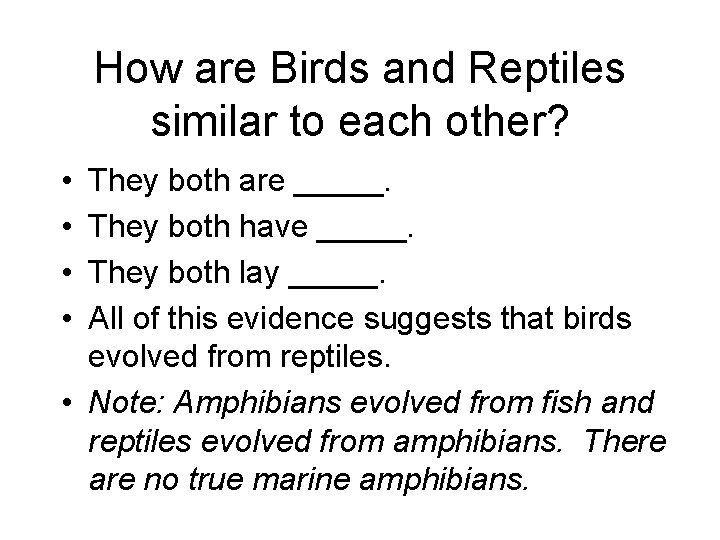 How are Birds and Reptiles similar to each other? • • They both are