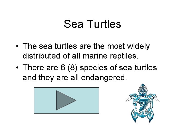 Sea Turtles • The sea turtles are the most widely distributed of all marine