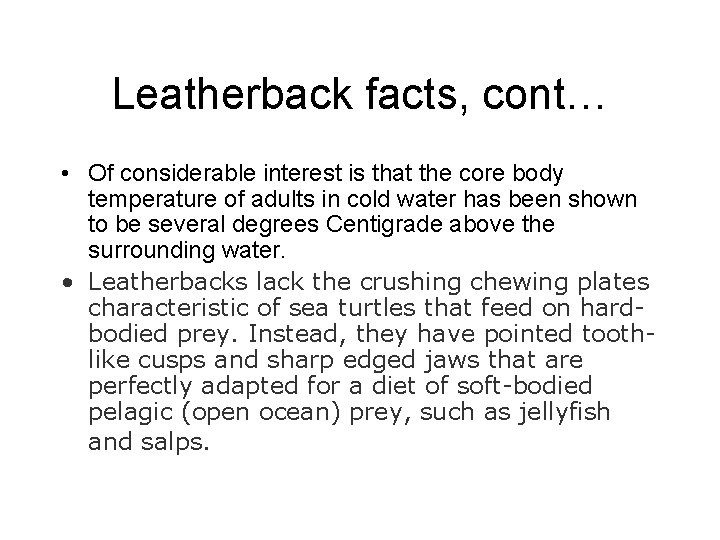 Leatherback facts, cont… • Of considerable interest is that the core body temperature of