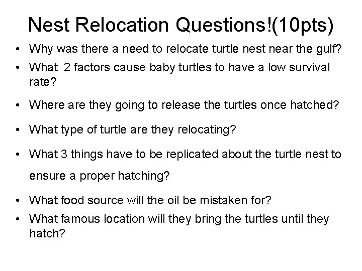 Nest Relocation Questions!(10 pts) • Why was there a need to relocate turtle nest