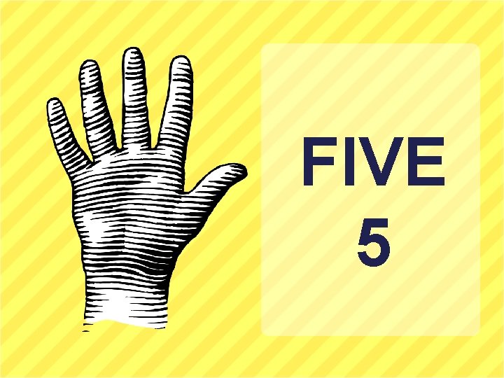 FIVE 5 