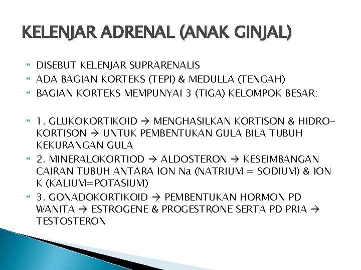 KELENJAR ADRENAL (ANAK GINJAL) DISEBUT KELENJAR SUPRARENALIS ADA BAGIAN KORTEKS (TEPI) & MEDULLA (TENGAH)