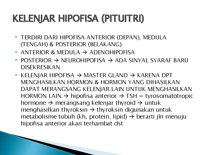 KELENJAR HIPOFISA (PITUITRI) TERDIRI DARI HIPOFISA ANTERIOR (DEPAN), MEDULA (TENGAH) & POSTERIOR (BELAKANG) ANTERIOR