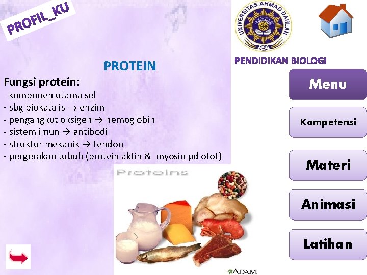 Fungsi protein: - komponen utama sel PROTEIN - sbg biokatalis enzim - pengangkut oksigen