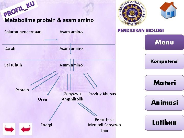 Metabolime protein & asam amino Saluran pencernaan Asam amino Darah Asam amino Sel tubuh