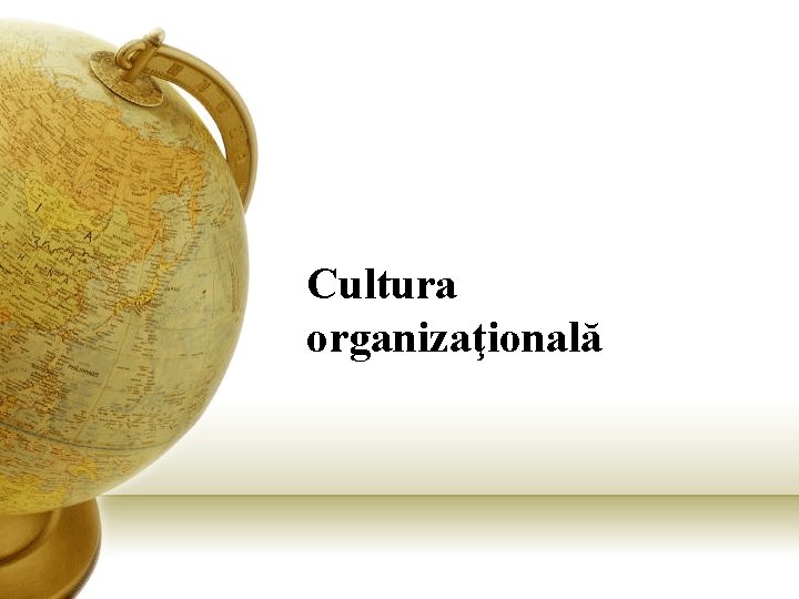 Cultura organizaţională 