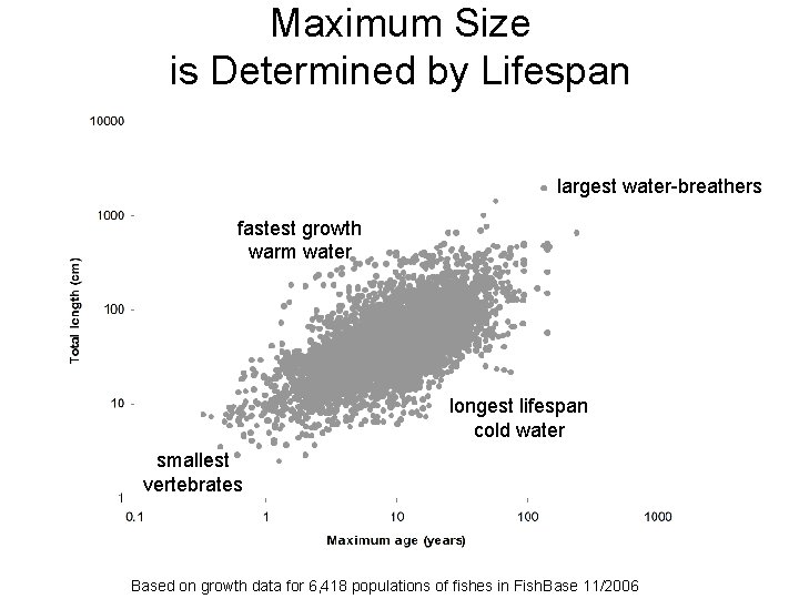 Maximum Size is Determined by Lifespan largest water-breathers fastest growth warm water longest lifespan
