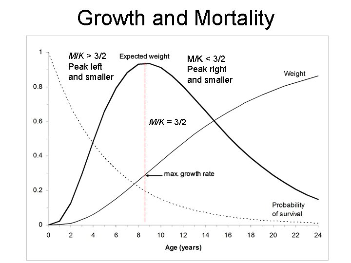 Growth and Mortality M/K > 3/2 Peak left and smaller M/K < 3/2 Peak