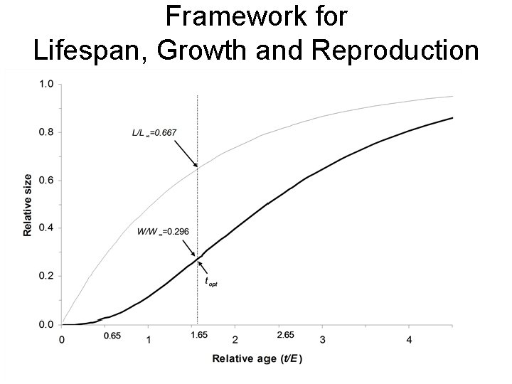 Framework for Lifespan, Growth and Reproduction 