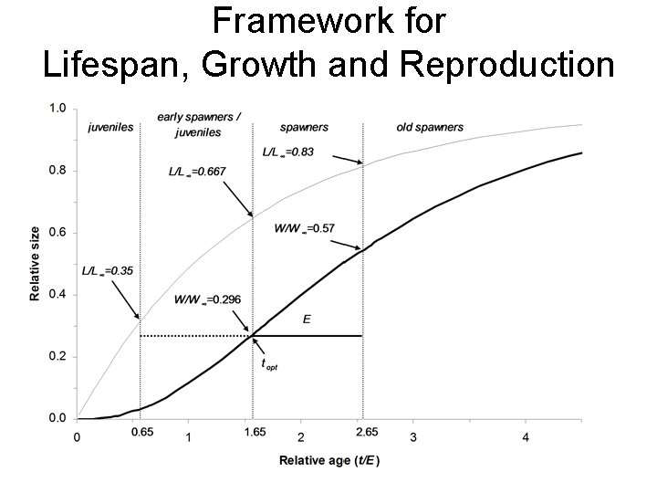 Framework for Lifespan, Growth and Reproduction 