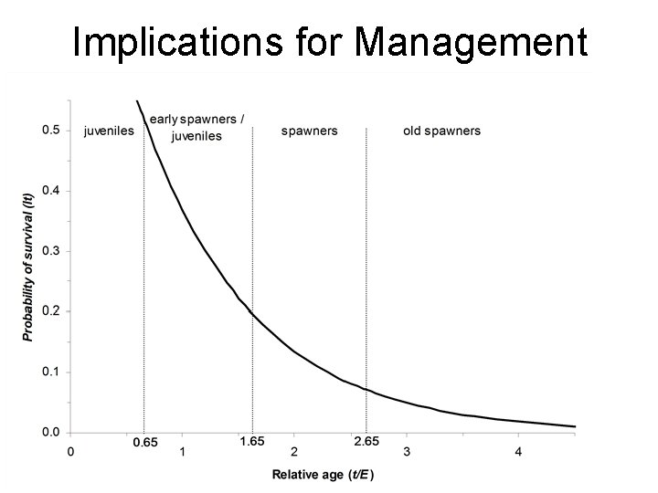 Implications for Management 