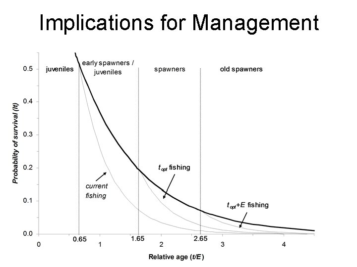 Implications for Management 