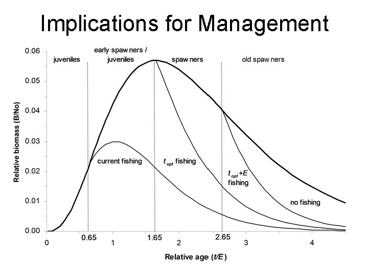 Implications for Management 