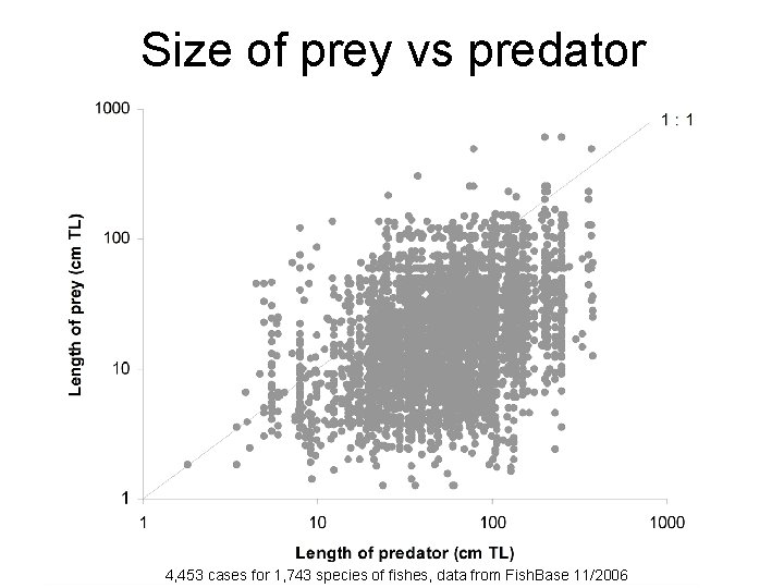 Size of prey vs predator 4, 453 cases for 1, 743 species of fishes,