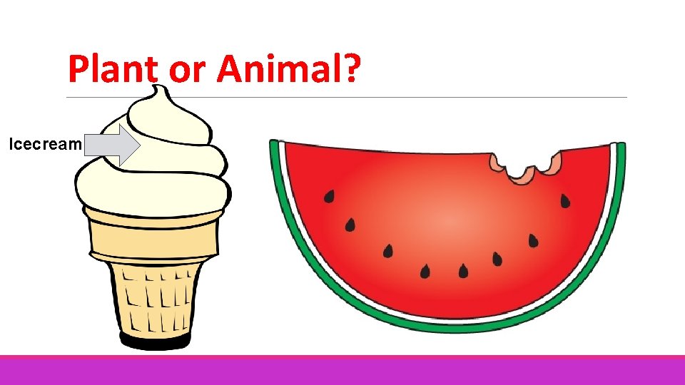 Plant or Animal? Icecream 
