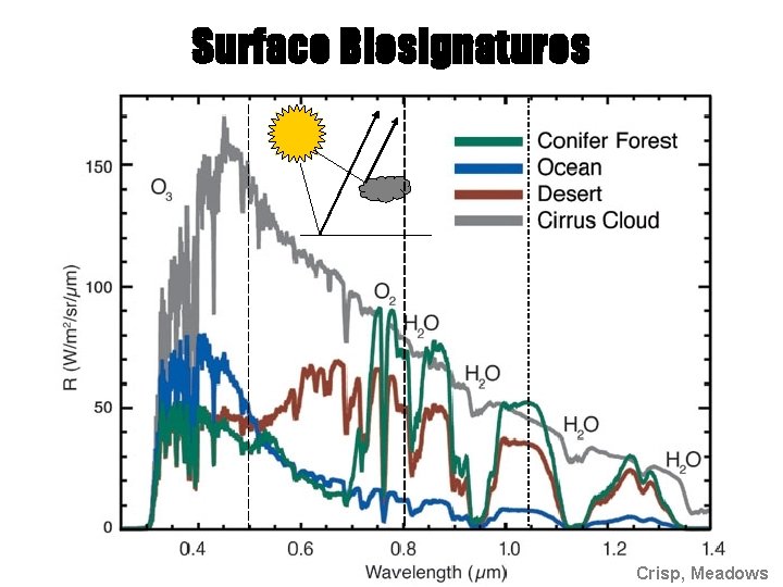 Surface Biosignatures Crisp, Meadows 