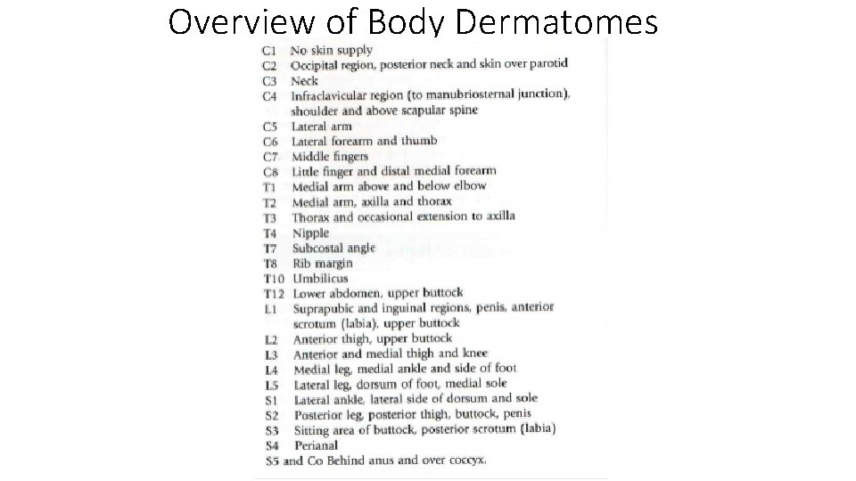 Overview of Body Dermatomes 