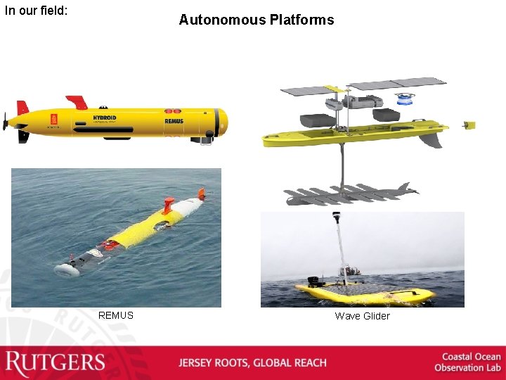 In our field: Autonomous Platforms REMUS Wave Glider 