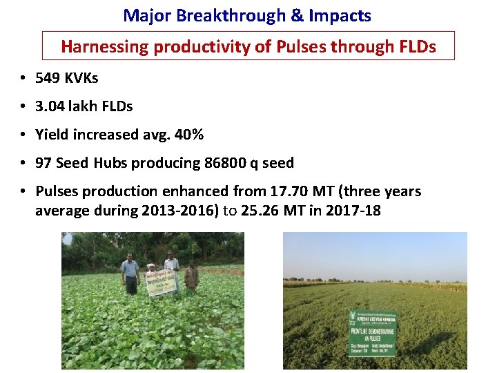 Major Breakthrough & Impacts Harnessing productivity of Pulses through FLDs • 549 KVKs •