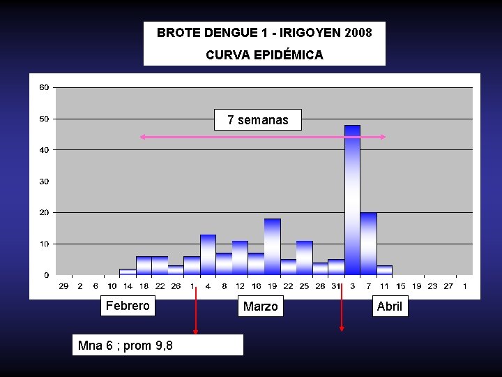 BROTE DENGUE 1 - IRIGOYEN 2008 CURVA EPIDÉMICA 7 semanas Febrero Mna 6 ;