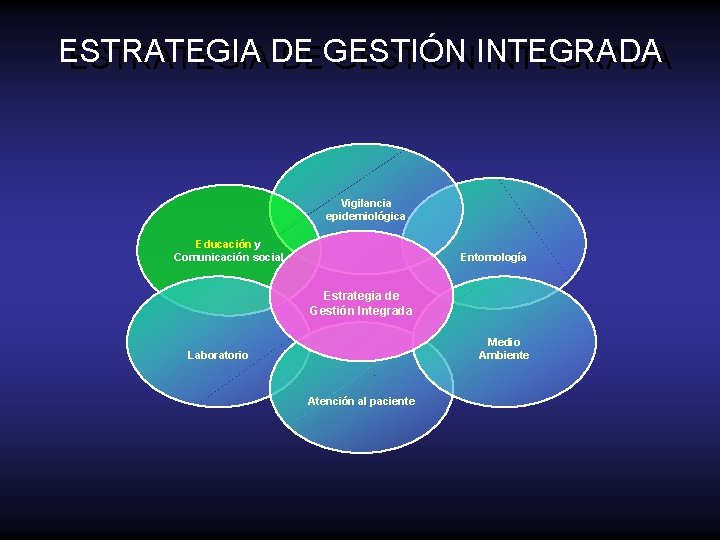 ESTRATEGIADE DEGESTIÓNINTEGRADA Vigilancia epidemiológica Educación y Comunicación social Entomología Estrategia de Gestión Integrada Medio