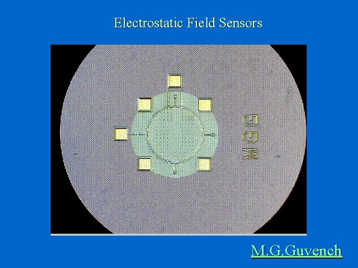 Electrostatic Field Sensors M. G. Guvench 