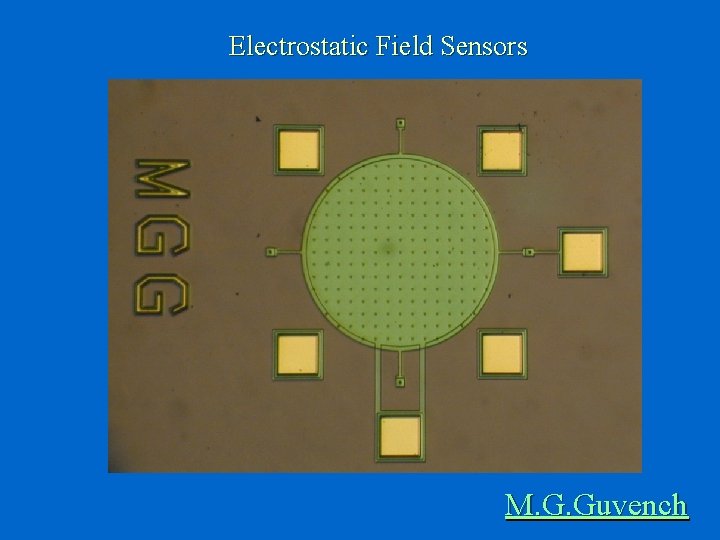 Electrostatic Field Sensors M. G. Guvench 
