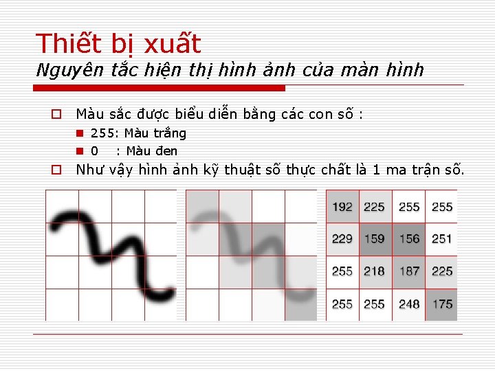 Thiết bị xuất Nguyên tắc hiện thị hình ảnh của màn hình o Màu