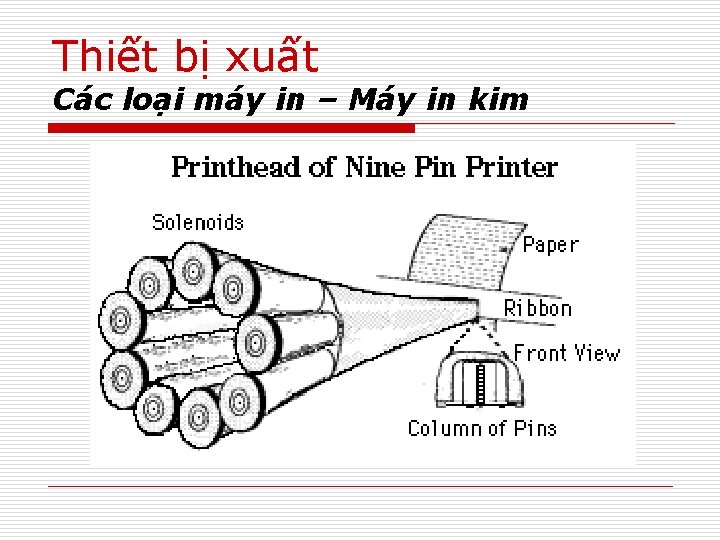 Thiết bị xuất Các loại máy in – Máy in kim 