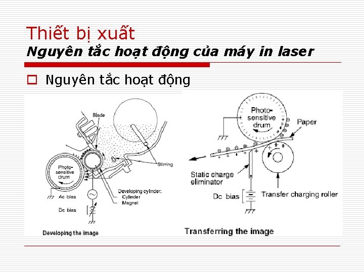 Thiết bị xuất Nguyên tắc hoạt động của máy in laser o Nguyên tắc