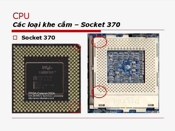CPU Các loại khe cắm – Socket 370 o Socket 370 