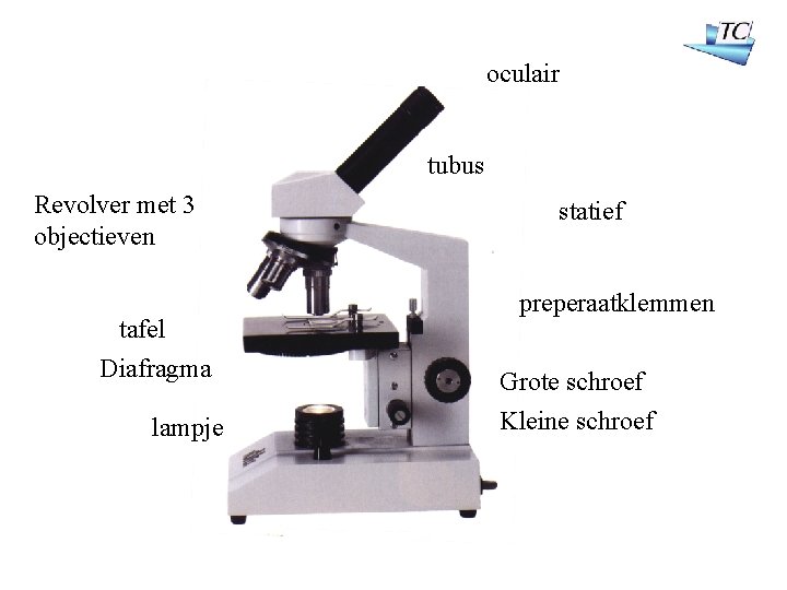 oculair tubus Revolver met 3 objectieven tafel Diafragma lampje statief preperaatklemmen Grote schroef Kleine