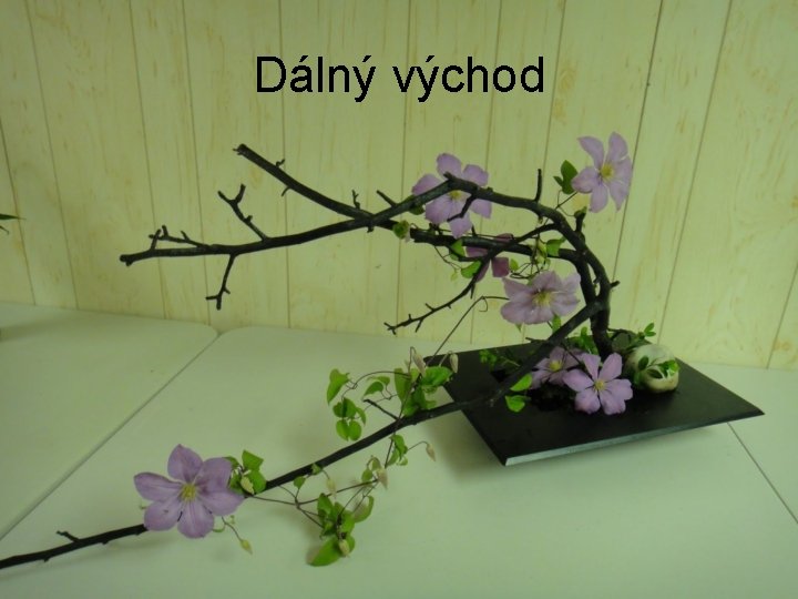 Dálný východ 