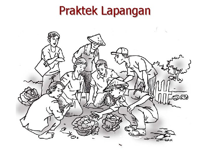 Praktek Lapangan 