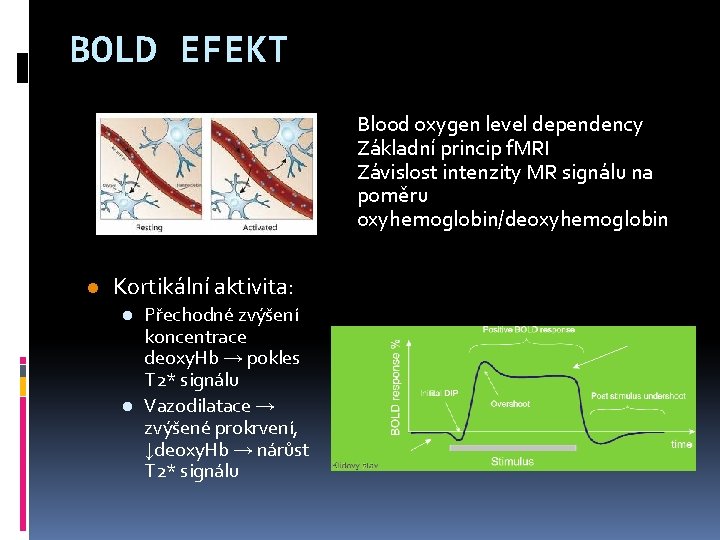 BOLD EFEKT Blood oxygen level dependency Základní princip f. MRI Závislost intenzity MR signálu