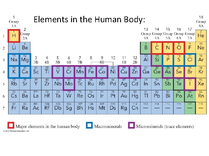 Elements in the Human Body: 