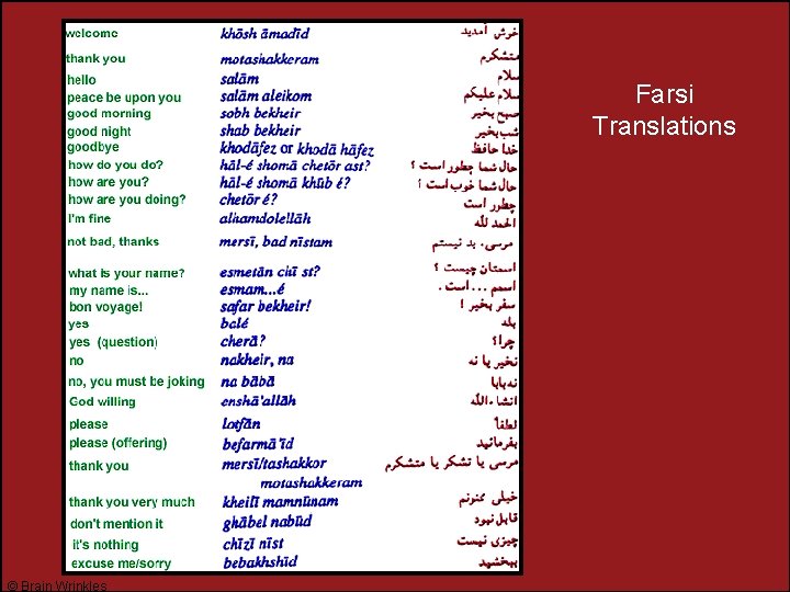 Farsi Translations © Brain Wrinkles 
