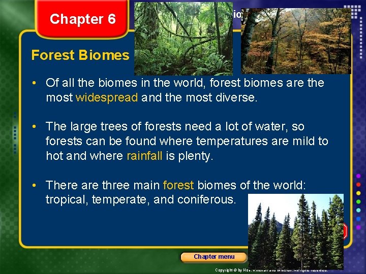 Chapter 6 Section 2 Forest Biomes • Of all the biomes in the world,