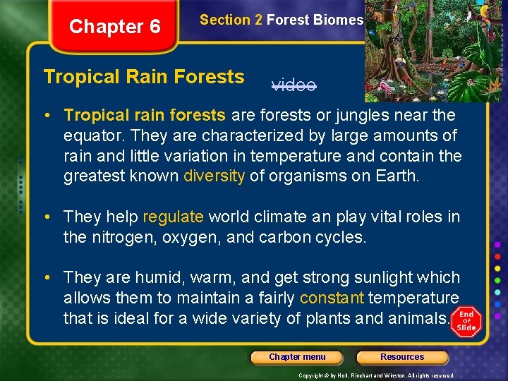Chapter 6 Section 2 Forest Biomes Tropical Rain Forests video • Tropical rain forests